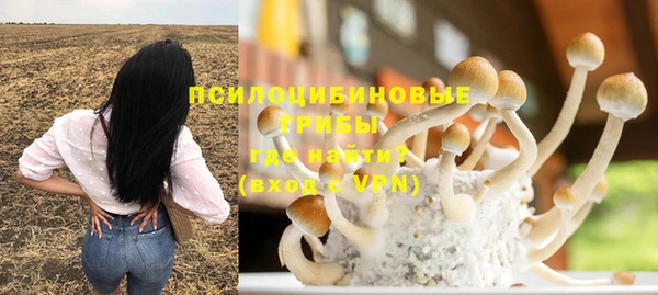 спайс Каменка