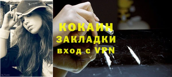 спайс Каменка